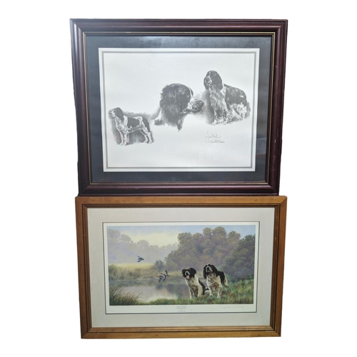 354 - Pair of Vintage Springer Spaniel Prints - Nigel Hemming Signed Print and One Other Largest 61x44cm