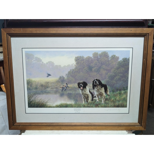 354 - Pair of Vintage Springer Spaniel Prints - Nigel Hemming Signed Print and One Other Largest 61x44cm