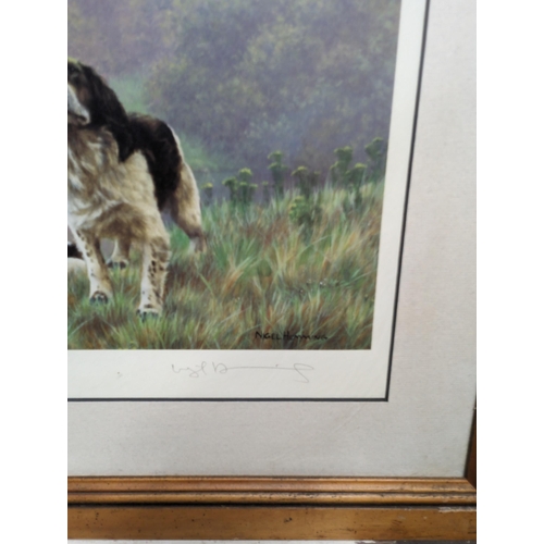 354 - Pair of Vintage Springer Spaniel Prints - Nigel Hemming Signed Print and One Other Largest 61x44cm