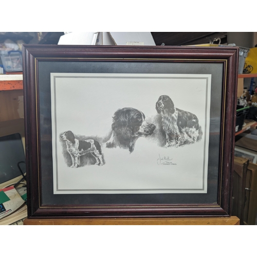 354 - Pair of Vintage Springer Spaniel Prints - Nigel Hemming Signed Print and One Other Largest 61x44cm