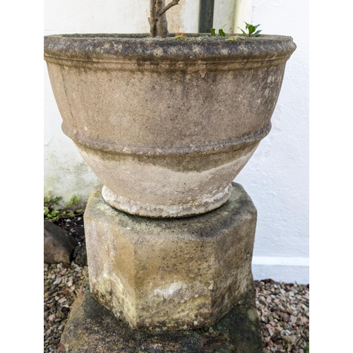 13 - Large Reconstituted Stone  Garden Planter With Concrete Pedestal Base - Well Patinad - With Shrub Pl... 