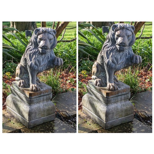 5 - Large Pair Reconstituted Stone  Garden Lion Statues On Pedestal Bases Very Heavy - Excellent Conditi... 