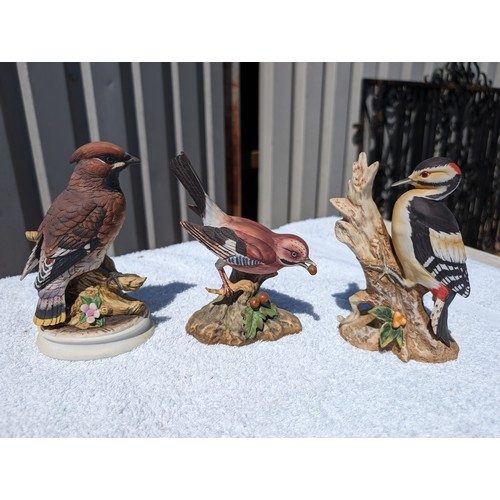 93 - Good Quantity (11) Ceramic Bird Ornaments - Country Fine Arts Plus Others. Lovely Condition Largest ... 