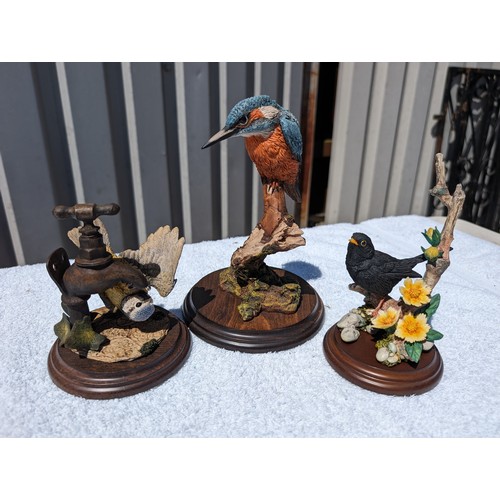93 - Good Quantity (11) Ceramic Bird Ornaments - Country Fine Arts Plus Others. Lovely Condition Largest ... 