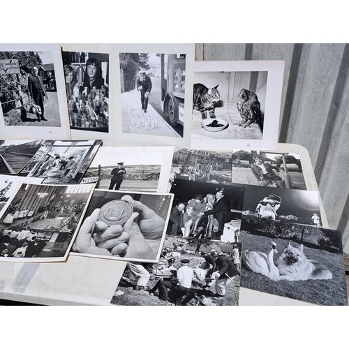 2 - Qty 30+ Local Interest Mounted Photographs On Board - SS  Bremen, Smokey Joe, Cliff Rescues, Celebri... 