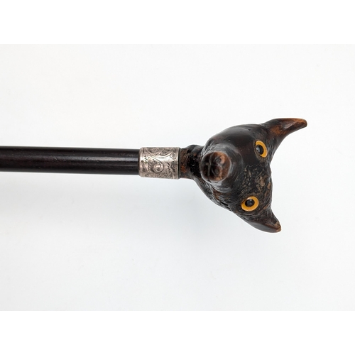 273 - Antique Black Forest Silver Collared Double Fox Headed Walking Cane With Glass Eyes, Very Unusual!