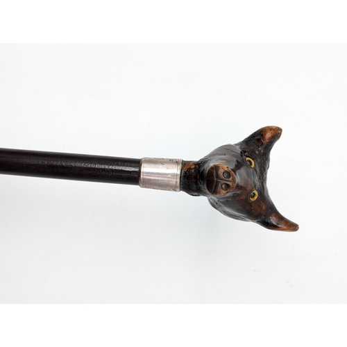 273 - Antique Black Forest Silver Collared Double Fox Headed Walking Cane With Glass Eyes, Very Unusual!