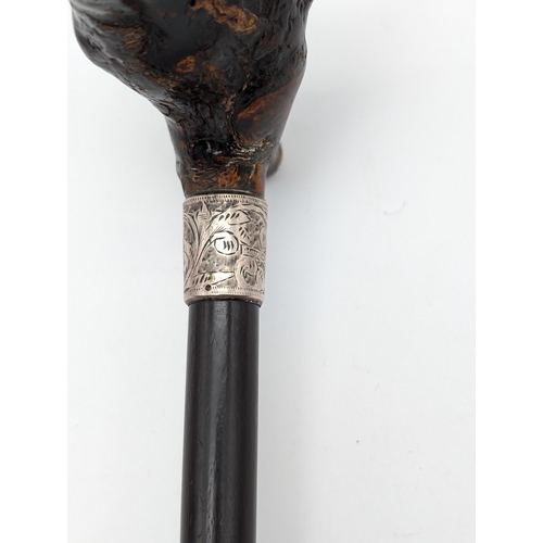 273 - Antique Black Forest Silver Collared Double Fox Headed Walking Cane With Glass Eyes, Very Unusual!