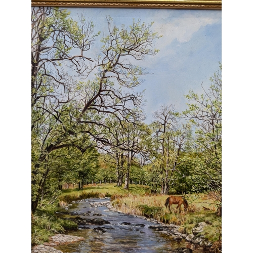 321 - Impressive Sheila Morley Oil On Board, Landscape Scene With Horse Grazing By a River. Local Interest... 