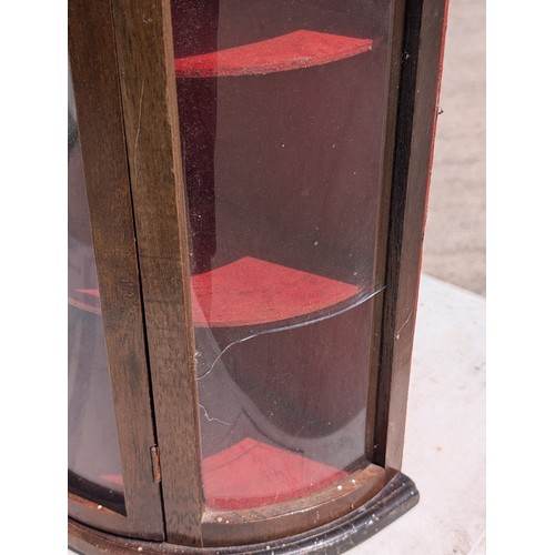 31A - Wonderful Pair 19C Wooden Salesman Sample Display Cabinets With Curved Glass on 3 Sides Countertop D... 