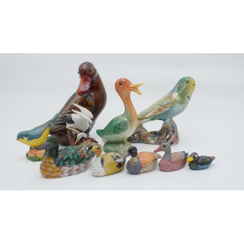 77 - Group (10) Vintage Bird / Duck Figurines Keele Street pottery Budgie, Weatherby Duck, Large Unmarked... 