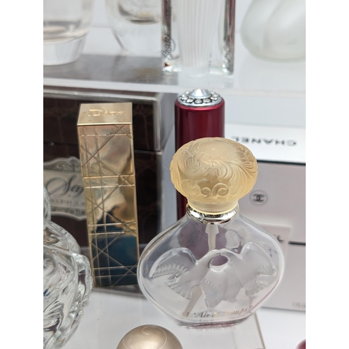 304 - Large Quantity Collectable Perfume Bottles, To Include; Dior, Yves Saint Laurent, Chanel, Givency, W... 