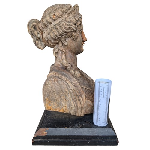 275 - Large 60x50cm Antique Hand Carved Wooden Bust Mounted On Black Plinth, Has Had Previous Repair to No... 