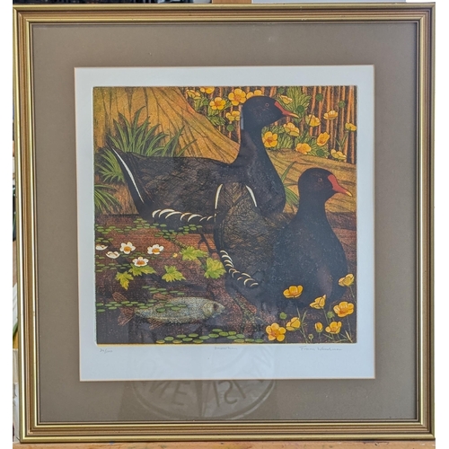 164 - Frans Wesselman Limited Edition Print Moorhens Signed Lower Right Edition Lower left 19x19