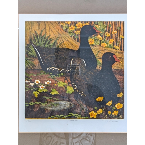 164 - Frans Wesselman Limited Edition Print Moorhens Signed Lower Right Edition Lower left 19x19
