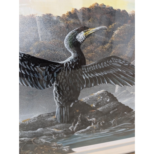 167 - Fabulous Cormorants At Dartmouth Castle Original Artwork, Signed Lower Right Neil Patey Excellent Ex... 