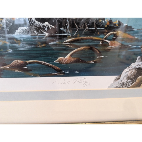 167 - Fabulous Cormorants At Dartmouth Castle Original Artwork, Signed Lower Right Neil Patey Excellent Ex... 