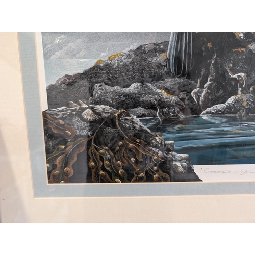 167 - Fabulous Cormorants At Dartmouth Castle Original Artwork, Signed Lower Right Neil Patey Excellent Ex... 