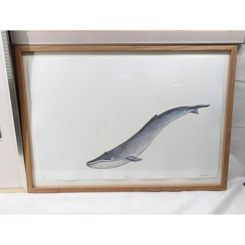 36 - Trio Large Format Limited Edition Engravings / Prints, Large Blue Whale Etching Debby Mason Blue Wha... 