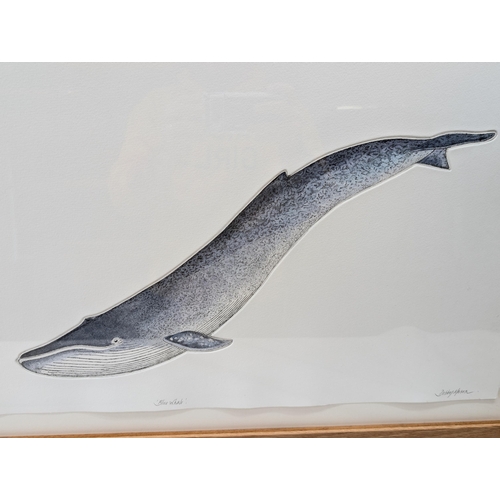 36 - Trio Large Format Limited Edition Engravings / Prints, Large Blue Whale Etching Debby Mason Blue Wha... 