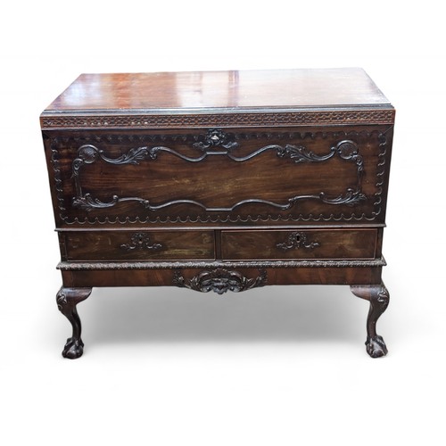 30 - Antique Georgian Likely Irish Mahogany Blanket Chest On Stand With Two Drawers, Heavily Carved Detai... 