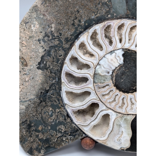 271 - Huge High Quality Pair Crystalised Ammonite Fossil Specimens Highly Polished Within There Original S... 