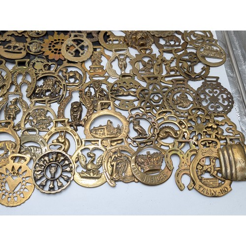 95 - Large Quantity Various Horse Brasses - Appx 12kg