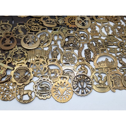 95 - Large Quantity Various Horse Brasses - Appx 12kg