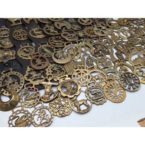 95 - Large Quantity Various Horse Brasses - Appx 12kg