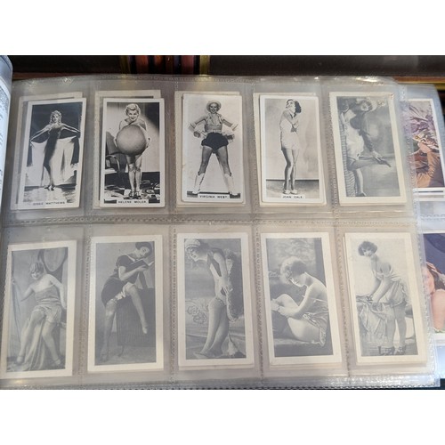 236C - Extensive Excellent Condition Cigarette & Tea Card Collection. 56 Complete Sets, Some Hard to Find E... 