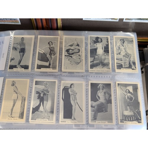 236C - Extensive Excellent Condition Cigarette & Tea Card Collection. 56 Complete Sets, Some Hard to Find E... 