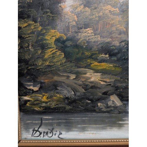 44 - Oil On Canvas Landscape Scene, Signed Lower Left Indistinct 28x20