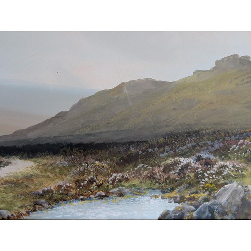 46 - Large Original Dartmoor Artwork, 34x15