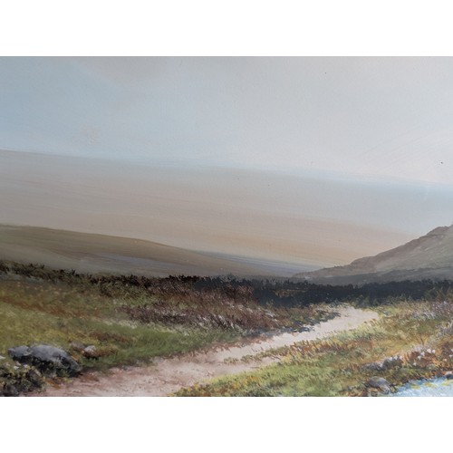 46 - Large Original Dartmoor Artwork, 34x15