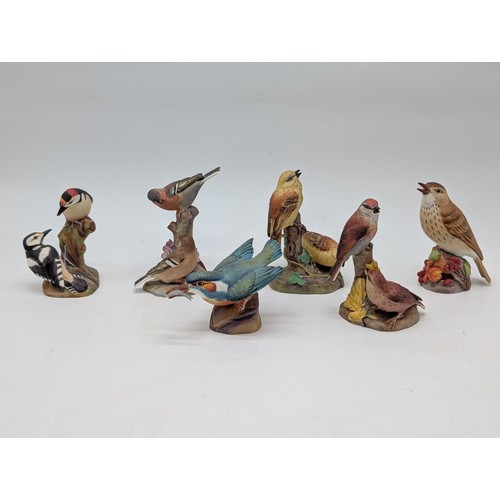 118 - Group (6) Medium Royal Worcester Bird Ornaments Including; Kingfisher Chaffinch Etc