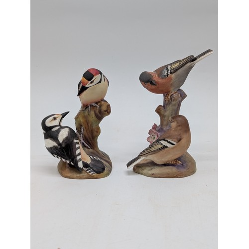 118 - Group (6) Medium Royal Worcester Bird Ornaments Including; Kingfisher Chaffinch Etc