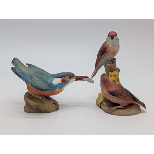 118 - Group (6) Medium Royal Worcester Bird Ornaments Including; Kingfisher Chaffinch Etc