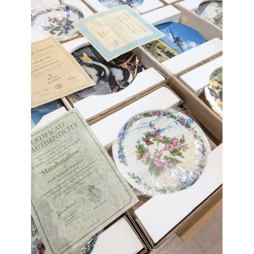 127 - Group (14) Decorative & Commemorative Plates, Military / Floral Etc. Diulton, Coalport