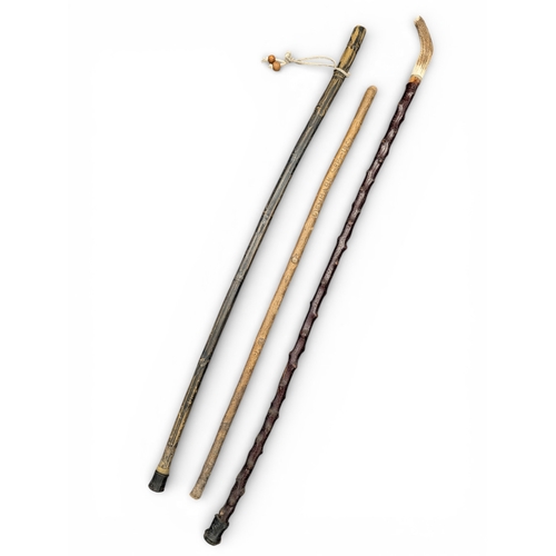 Seven assorted walking sticks and canes, including bamboo crook ...