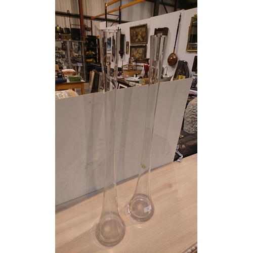 427 - 2 x Clear Glass Botanical vases