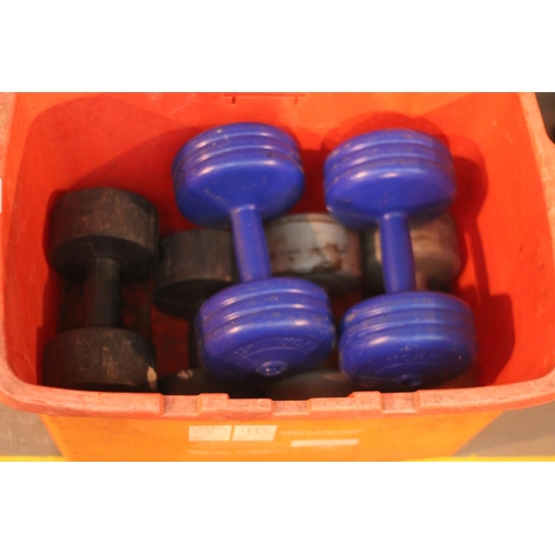 100 - Dumb bell weights