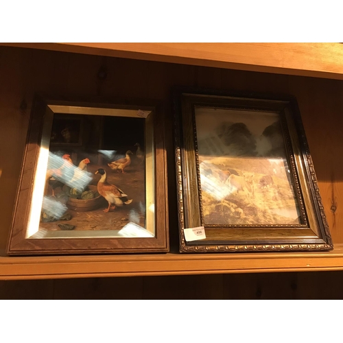 456 - 2x Framed Animal Prints