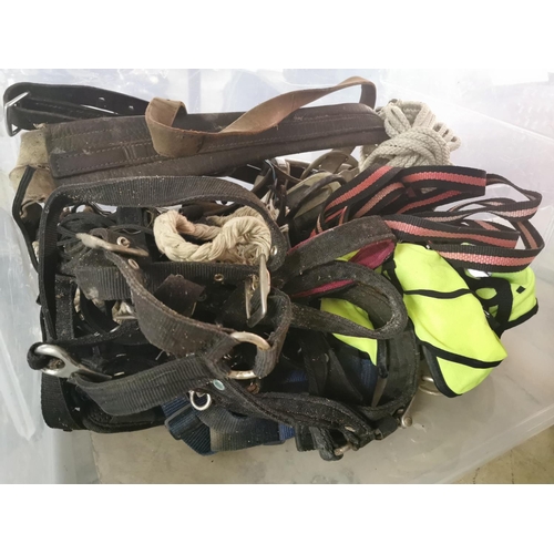 283 - Collection of horse riding equipment.