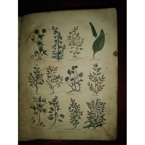 509 - Antique book 'Culpeppers The Complete Herbal and English Physician Enlarged'. With many beautiful co... 