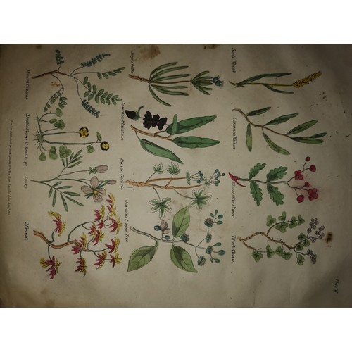 509 - Antique book 'Culpeppers The Complete Herbal and English Physician Enlarged'. With many beautiful co... 