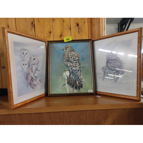 469 - Three framed pictures including Owls. Signed by Artist