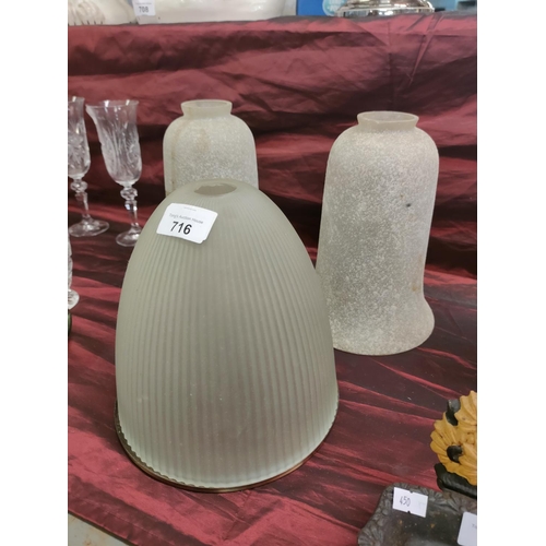 716 - Pair of frosted glass light shades approximate 23 cm tall and one other glass light shade