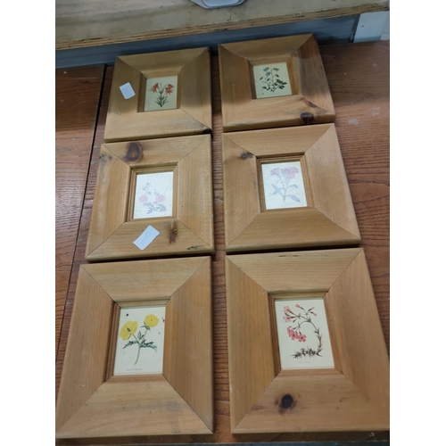 723A - PINE FRAMED FLOWER PICTURES