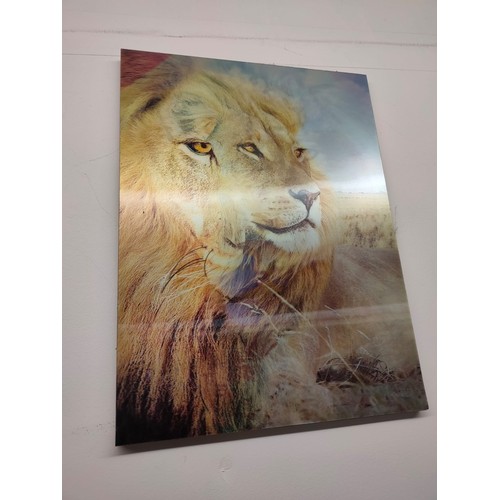 1525A - Holographic lion picture with three different pictures in one