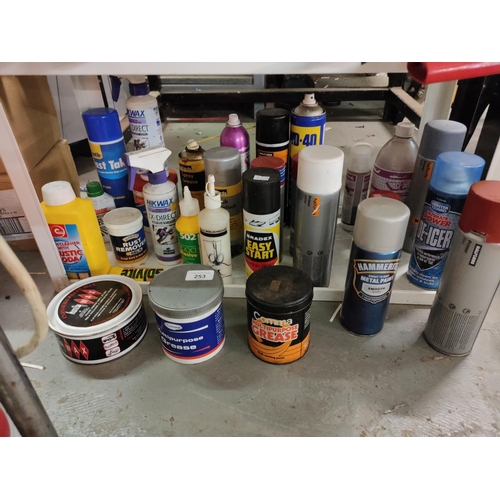 253 - JOB LOT PAINTS, LUBRICANTS SPRAYS ETC